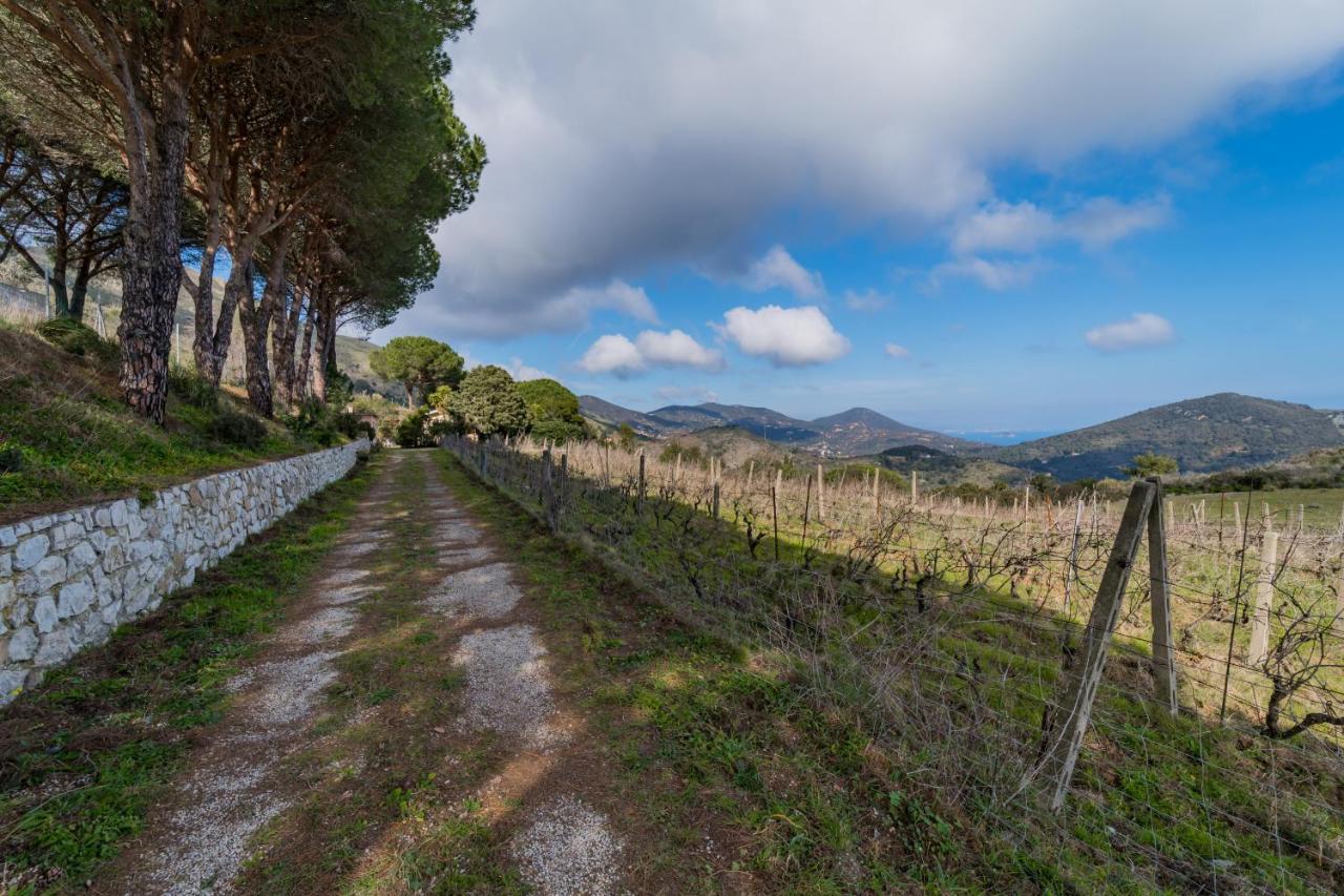 Villa Campo Al Pero リオ・マリーナ エクステリア 写真
